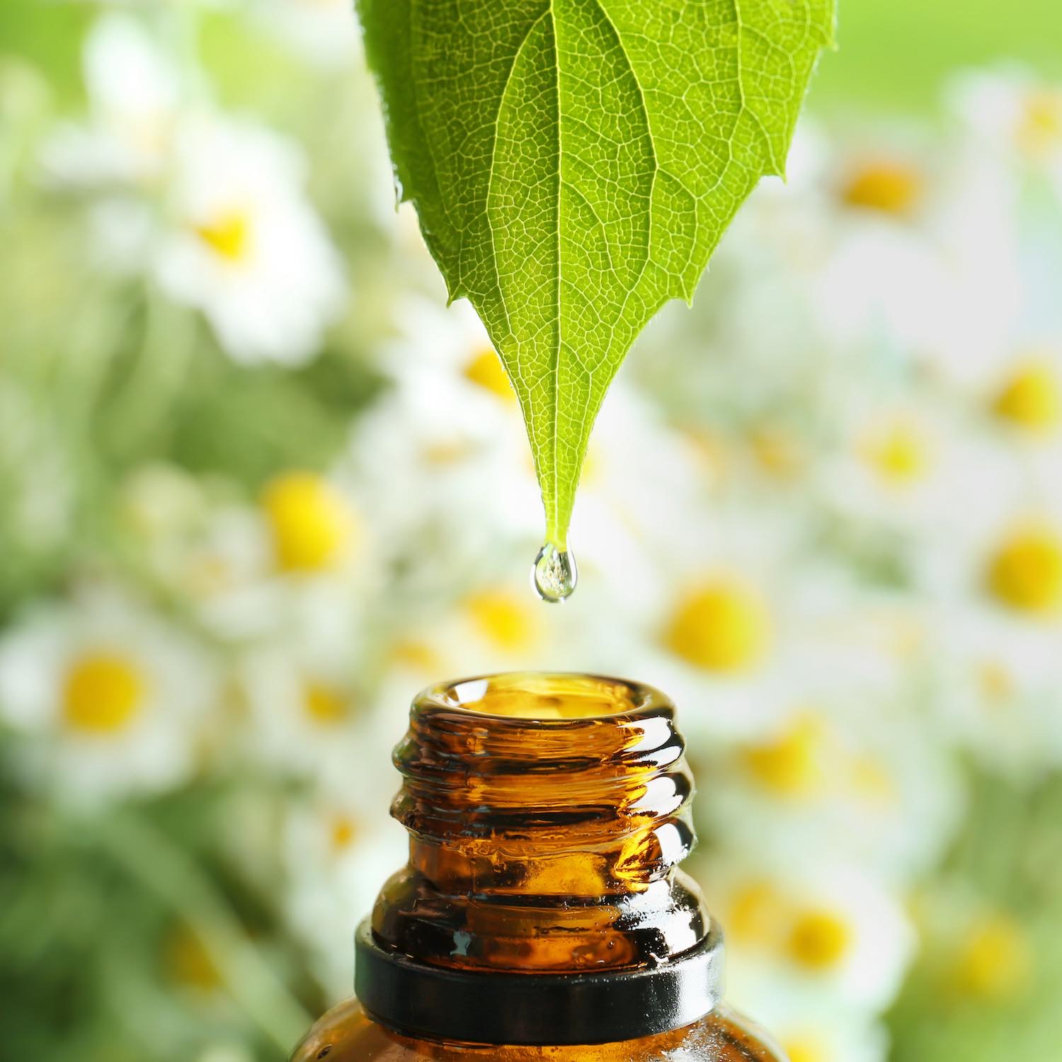Aromathérapie Pharmacie Naulet